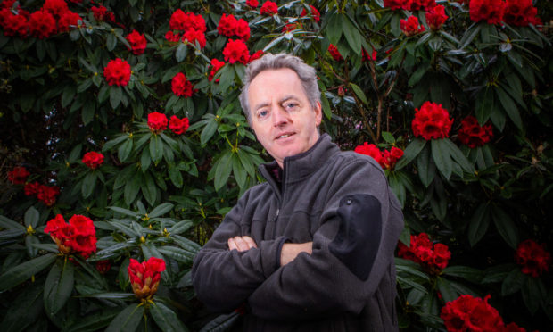Ken Cox pictured a year ago alongside Rhododendron Taurus at Glendoick Garden Centre, Glencarse, near Perth.