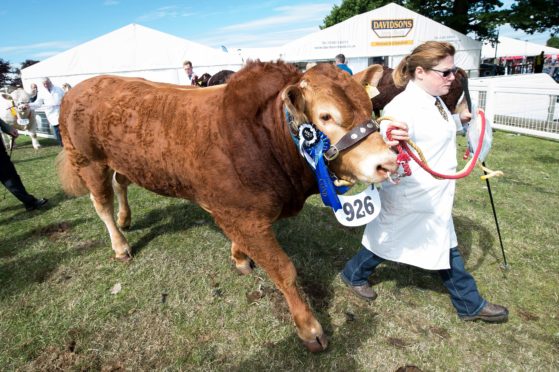 The Royal Highland Show in 2018.