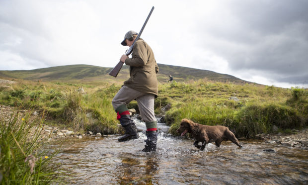 Grouse shooting on the moors at the Rottal Estate in Glen Clova, near Kirriemuir, Angus.