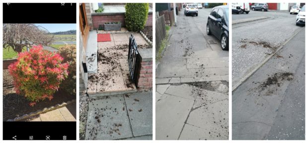 A trail of earth led up the street before abruptly stopping.