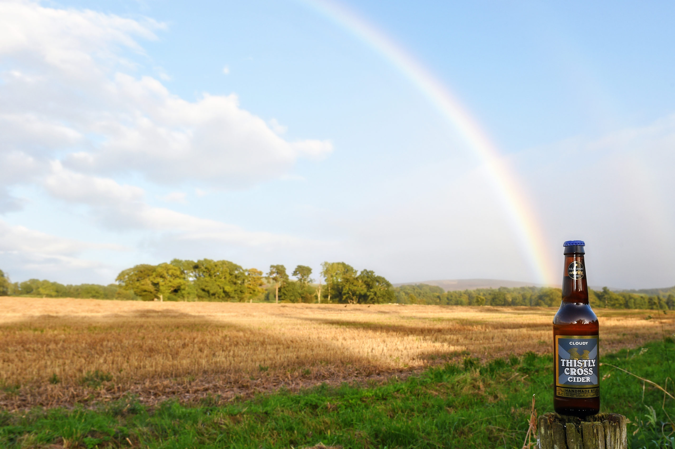 https://wpcluster.dctdigital.com/thecourier/wp-content/uploads/sites/12/2020/05/Thistly-Cross-Cider-bottle-with-rainbow-scaled.jpg