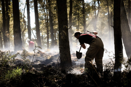 Landowners have been helping firefighters battle the blaze in woodland on Mount Hill, near Cupar.
