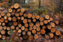 Timber harvesting has continued during the crisis, but at reduced levels.