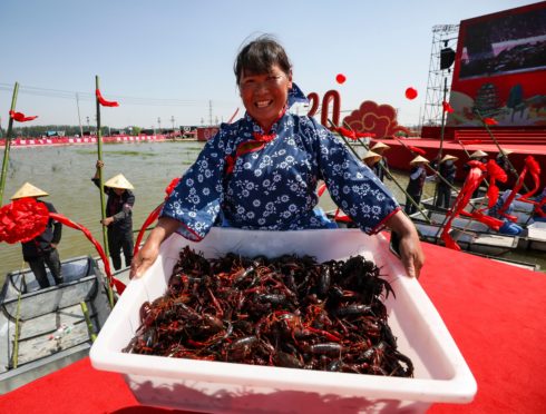 Delicious crayfishes are provided for visitors during the International Crayfish Festival, which also marks the beginning of the fishing season of the year in east China's Jiangsu province.