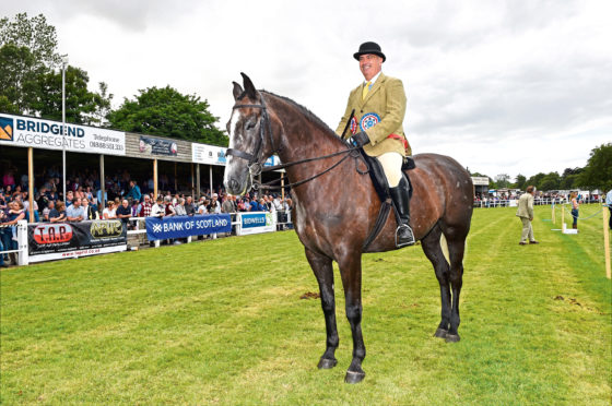 Reserve horse champion (ridden class) James Munro from Wick on Parkmore Rowan at the Turriff Show. 
Picture by KEVIN EMSLIE