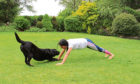 Lockdown has been a great time for people to spend more time with their dogs, as DC Thomson writer Gayle Ritchie discovered when she tried "doga" with her Labrador Toby.