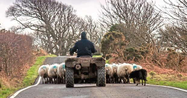 Only 26% of farmers in Scotland said they felt positive about the post-Brexit landscape, according to a survey..