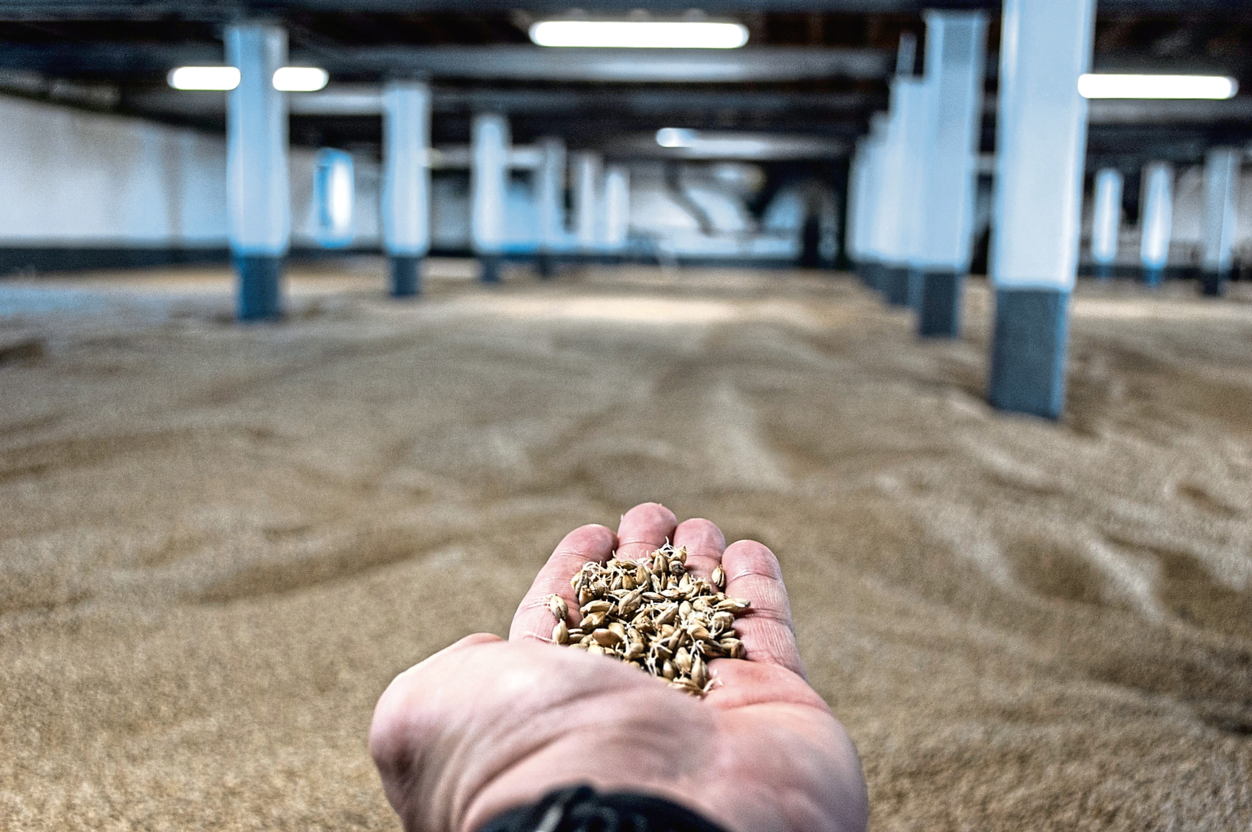 The Scotch whisky industry is not operating as normal, impacting demand for grain.