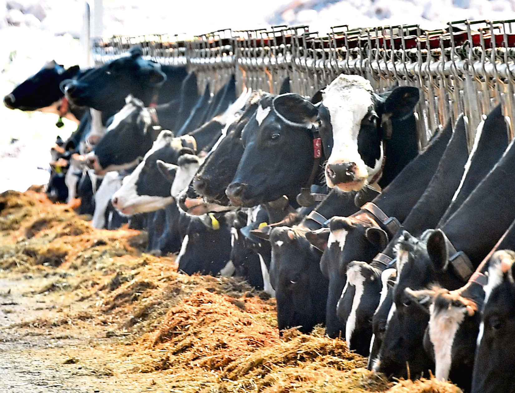 Change could be coming to the British dairy sector.