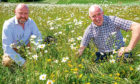 (Left) Alexander Moncrieff and (right) Head of Estates, Gordon Fowler examine the growth and development of the wild flowers, margind and hawthorn hedgerows.