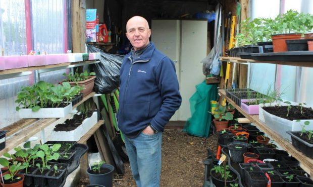 Bill McGregor's allotment has proved a haven during lockdown.