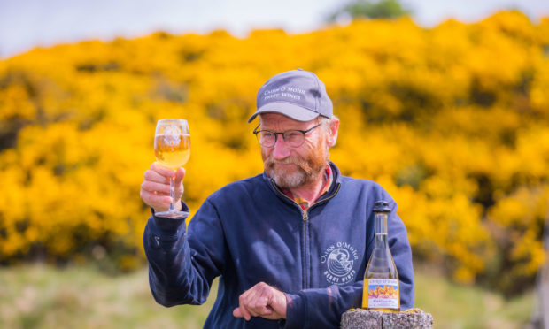 Ron Gillies (Cairn O' Mohr) with some of his product alongside local gorse bushes on the Sidlaws, near Rait.