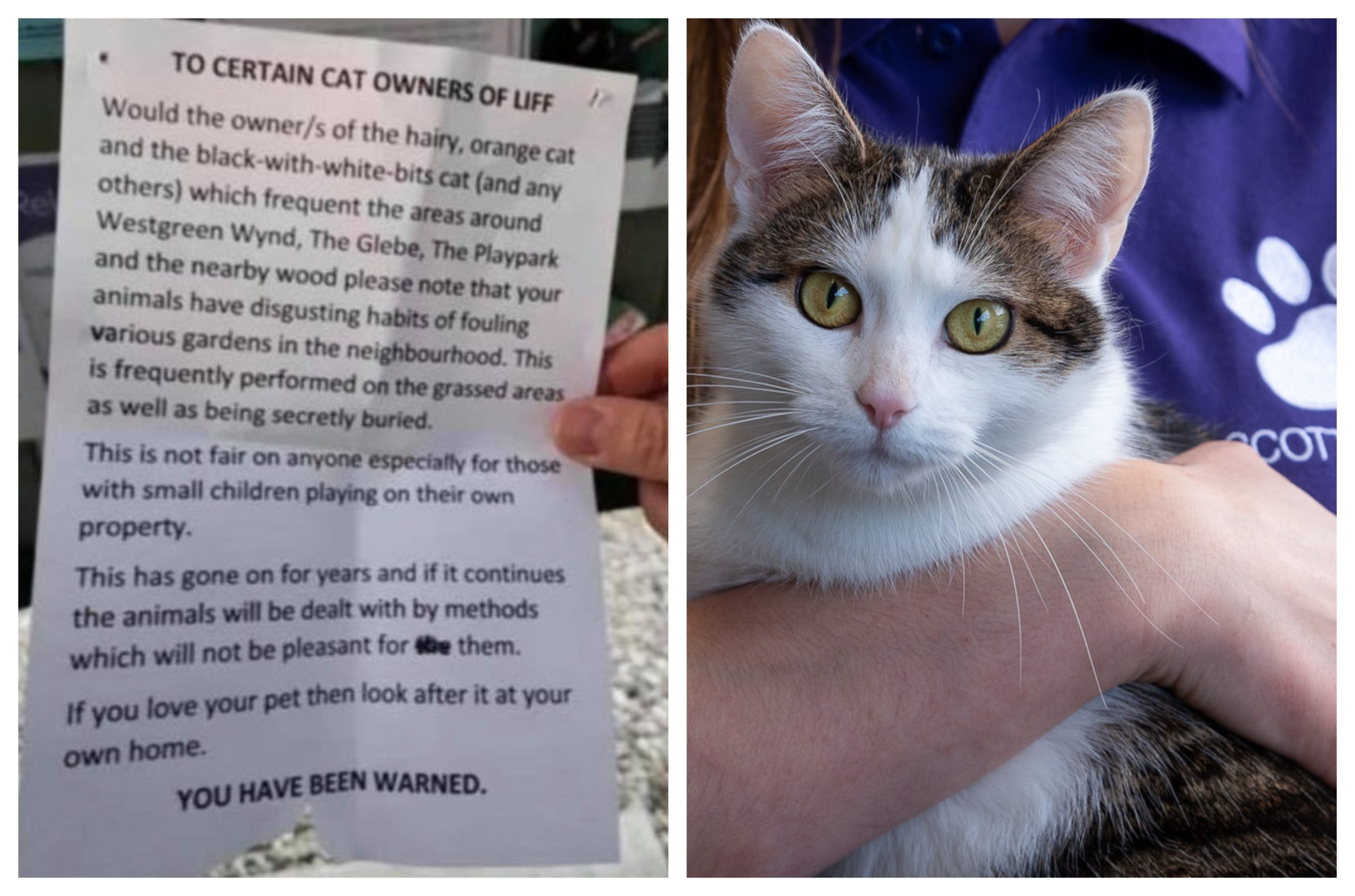 The anonymous letter threatened to harm pet cats