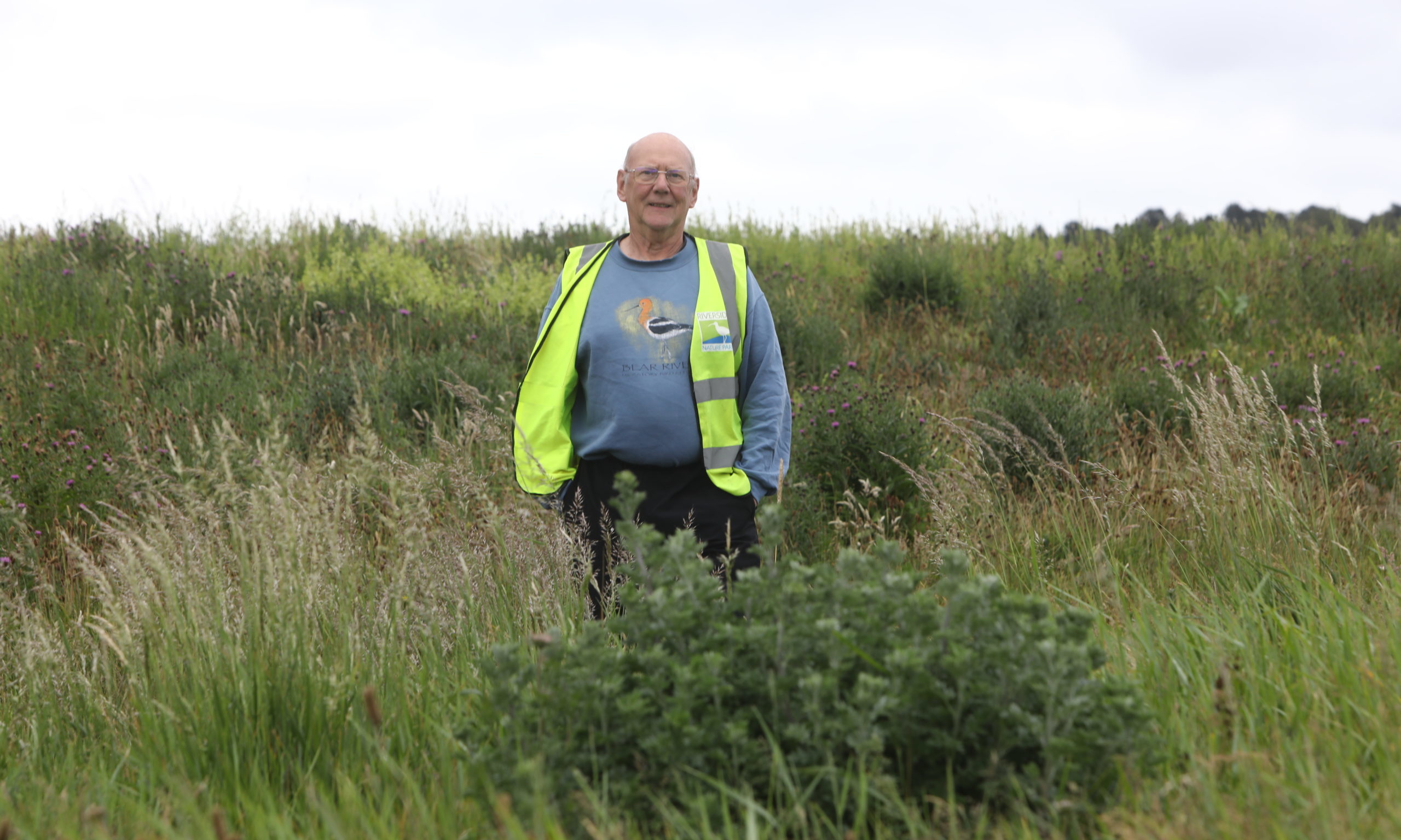 Ian Ford, chairman of the Friends Of Riverside Nature Park, among the park meadows.