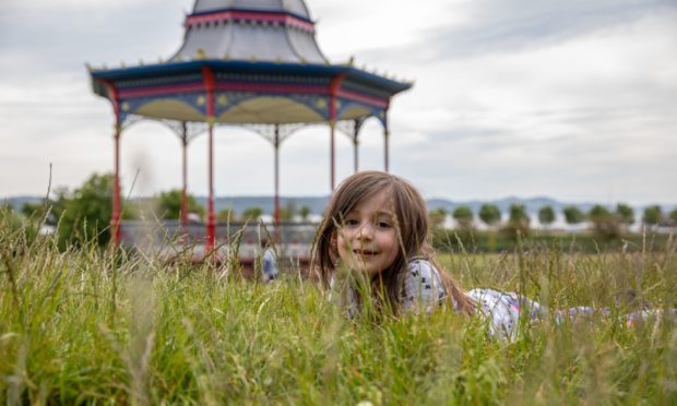 Zoe Maure exploring the long grass on the northern perimeter of Magdalen Green, Dundee.