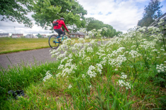 Cycle path alongside Whinfield Road