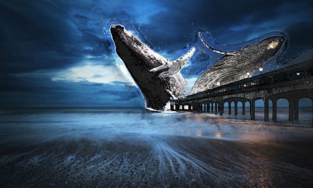 Twilight landscape of pier stretching out into sea with moonlight.