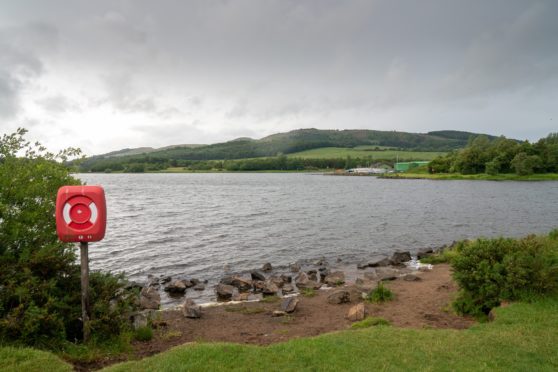 Lochore Meadows.