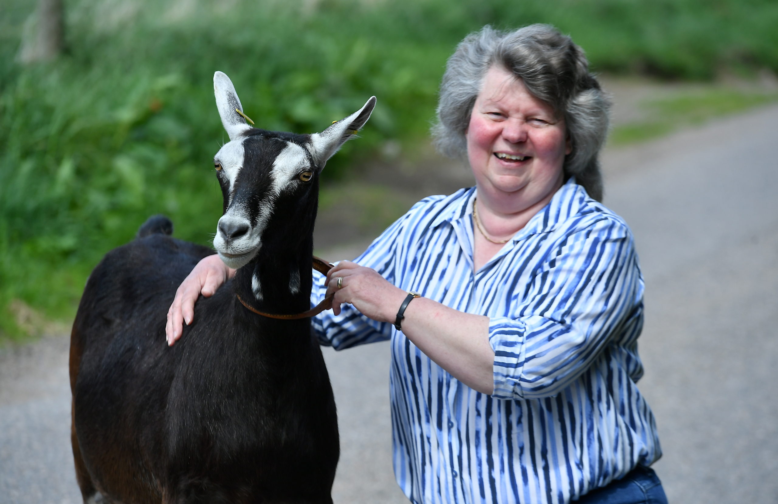 Agnes Aitken has a wealth of experience and will judge the goats at the Scottish Agricultural Show.