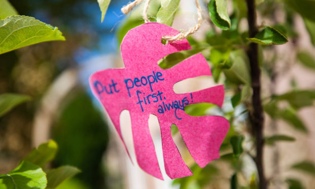 PKAVS has launched a 'wishing tree' at its city centre office.