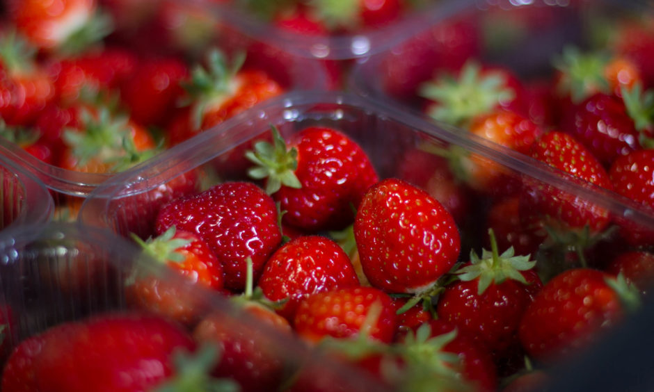 Some lucky milk delivery customers will receive a free punnet of strawberries.
