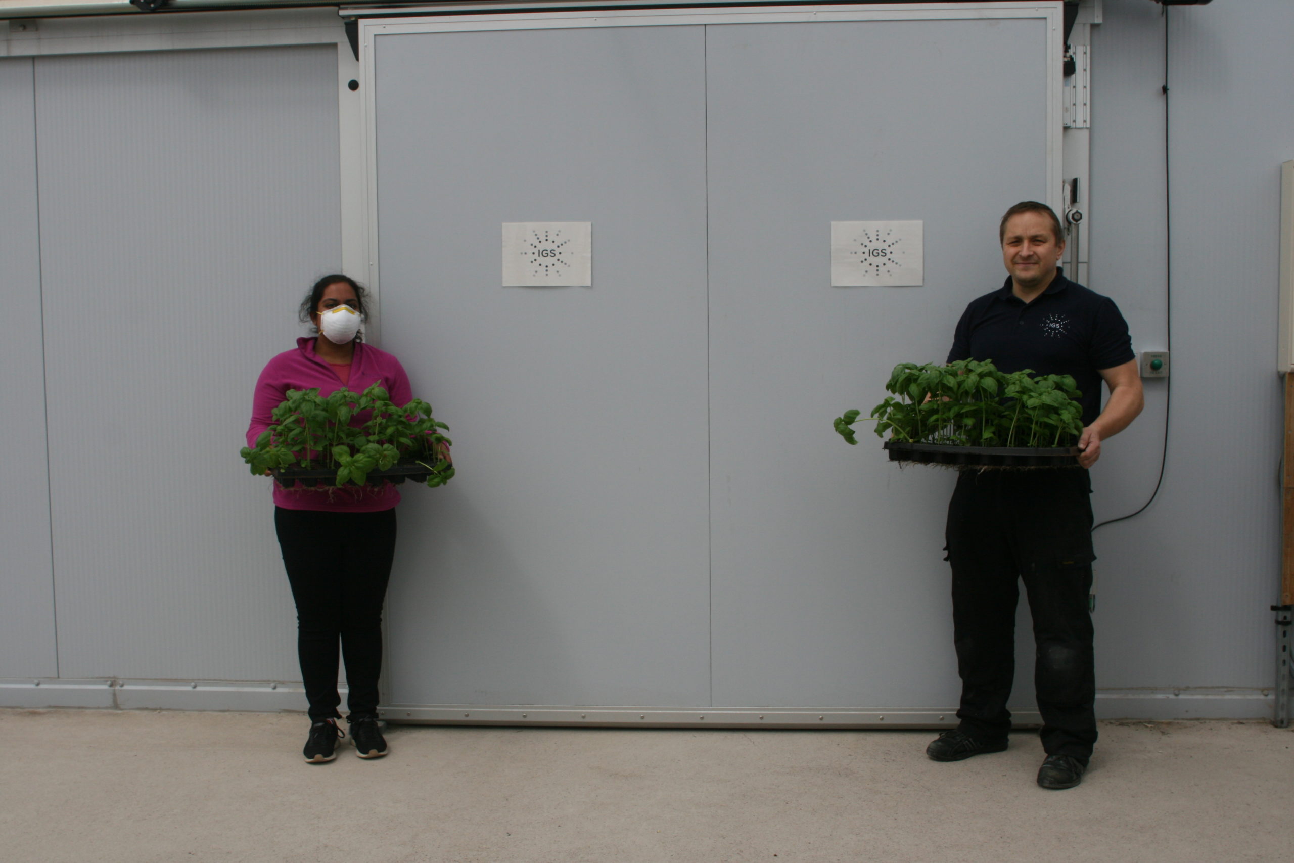 Sohini Mukhopadhyay, left, from Dudhope Multicultural Centre collecting produce from IGS technician Andris Sprukts, right, at the Invergowrie vertical farm.