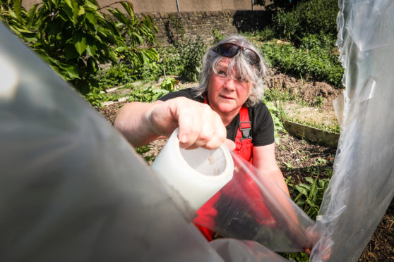 Libby McAinsh repairs some of the damage