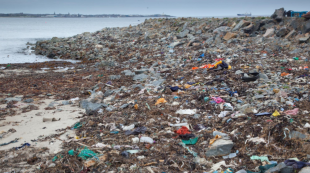 Plastic pollution on a beach.