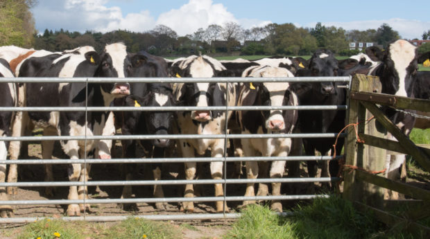 New signs are being designed by the farmers' union to help educate walkers.