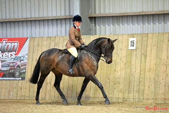 Hunter champion at the Agri show from Erin Grier.