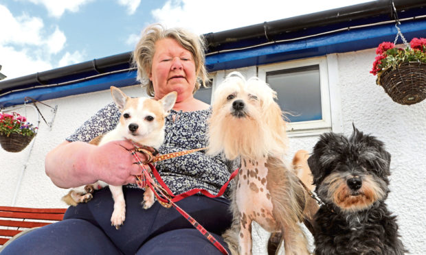 Carron Jenkins of Happas Canine Centre with Buttons, Malti and Zara - three dogs dumped at the Forfar kennels in 2018.