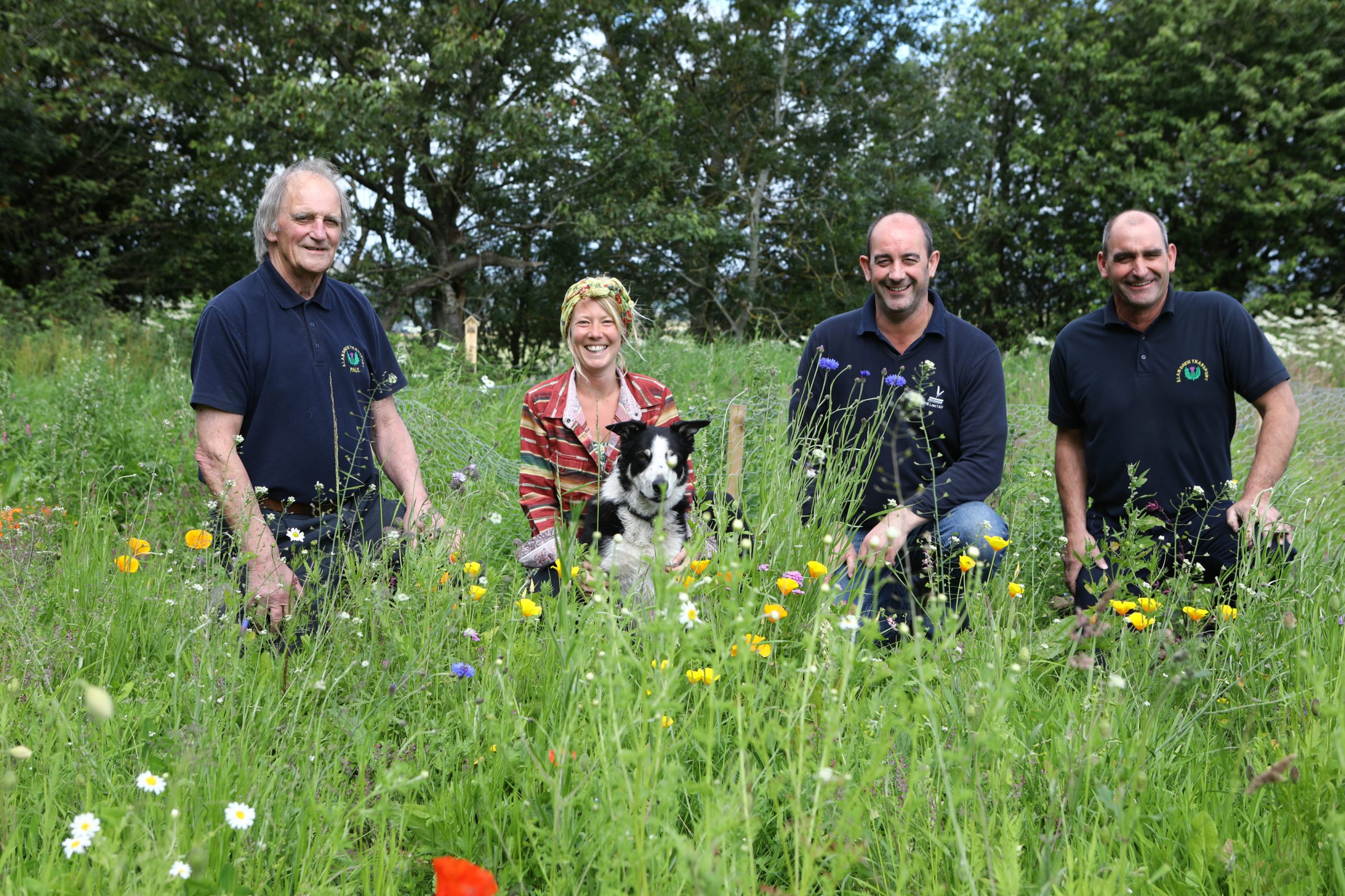 L/R,  Alan Davie - Owner of Alan Davie Transport, Jani Morton with Kodie the dog, Ian Davie and Euan Davie in the wildflower meadow