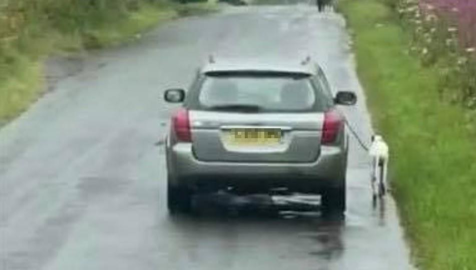 The footage shows the vehicle on the wrong side of the road in the Lochgelly area with the dog running dangerously close alongside (copyright: Chelle MacGregor).