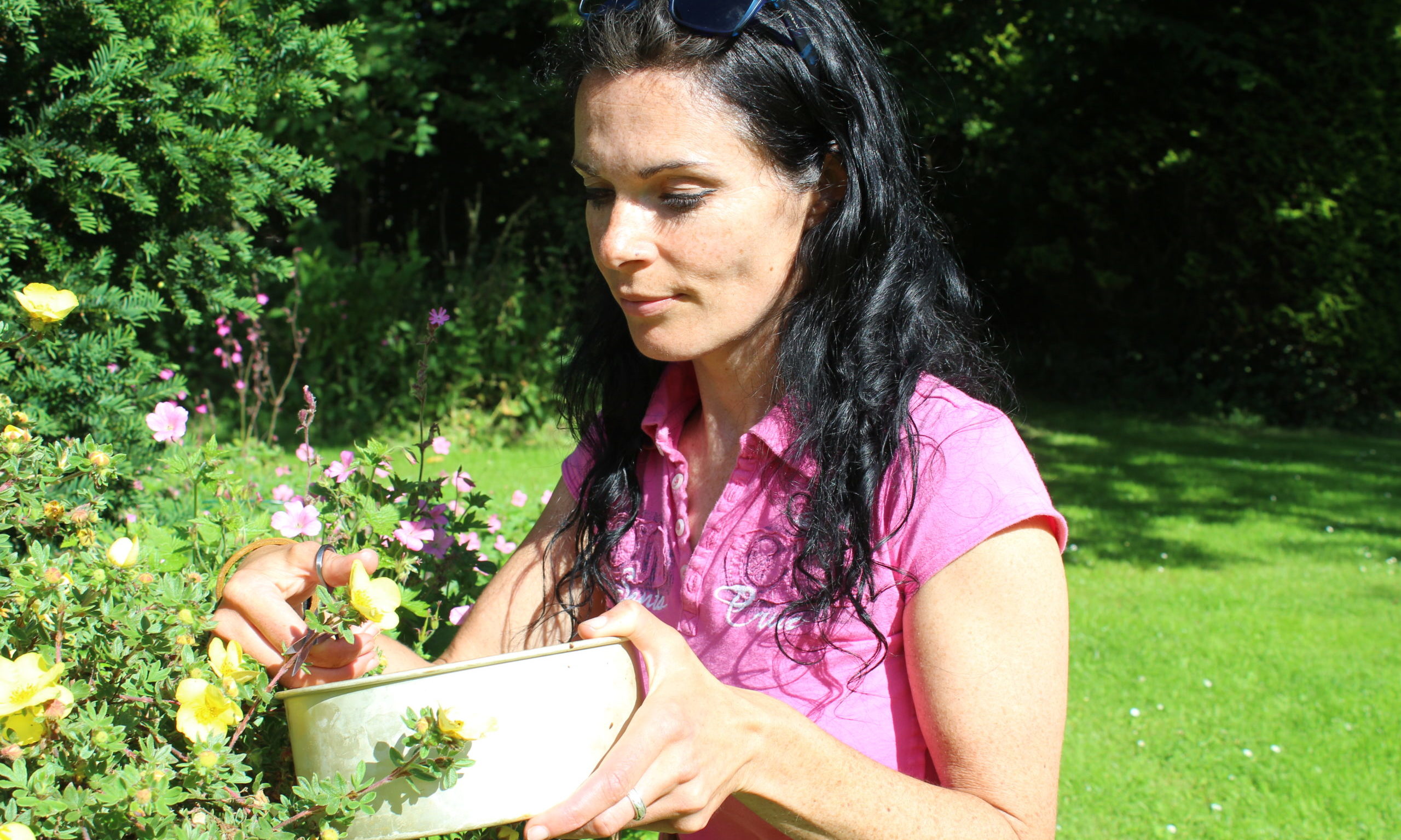 Gayle collects flowers from the garden.