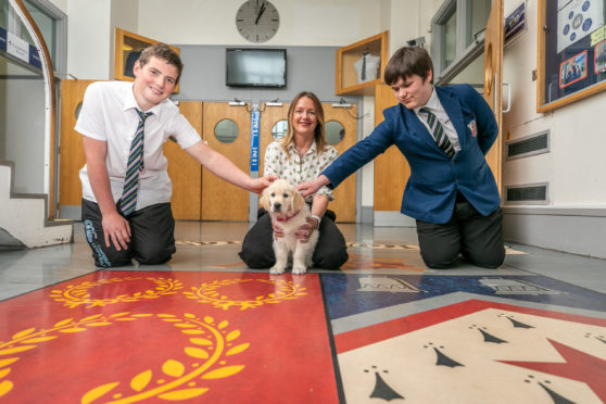 Pupils Logan Fenton and Callum Christie welcomed therapy dog Bella in July alongside headteacher Carol Ann Penrose.