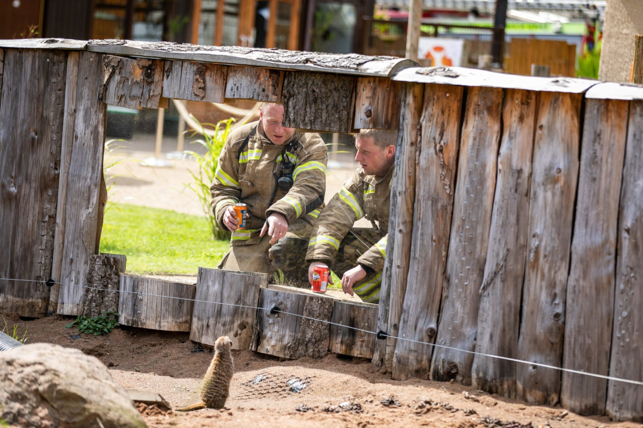 'This is our livelihoods' Heartbroken Fife Zoo owners speak out