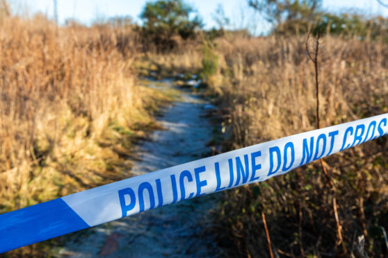 The area of wasteground where the woman was attacked.