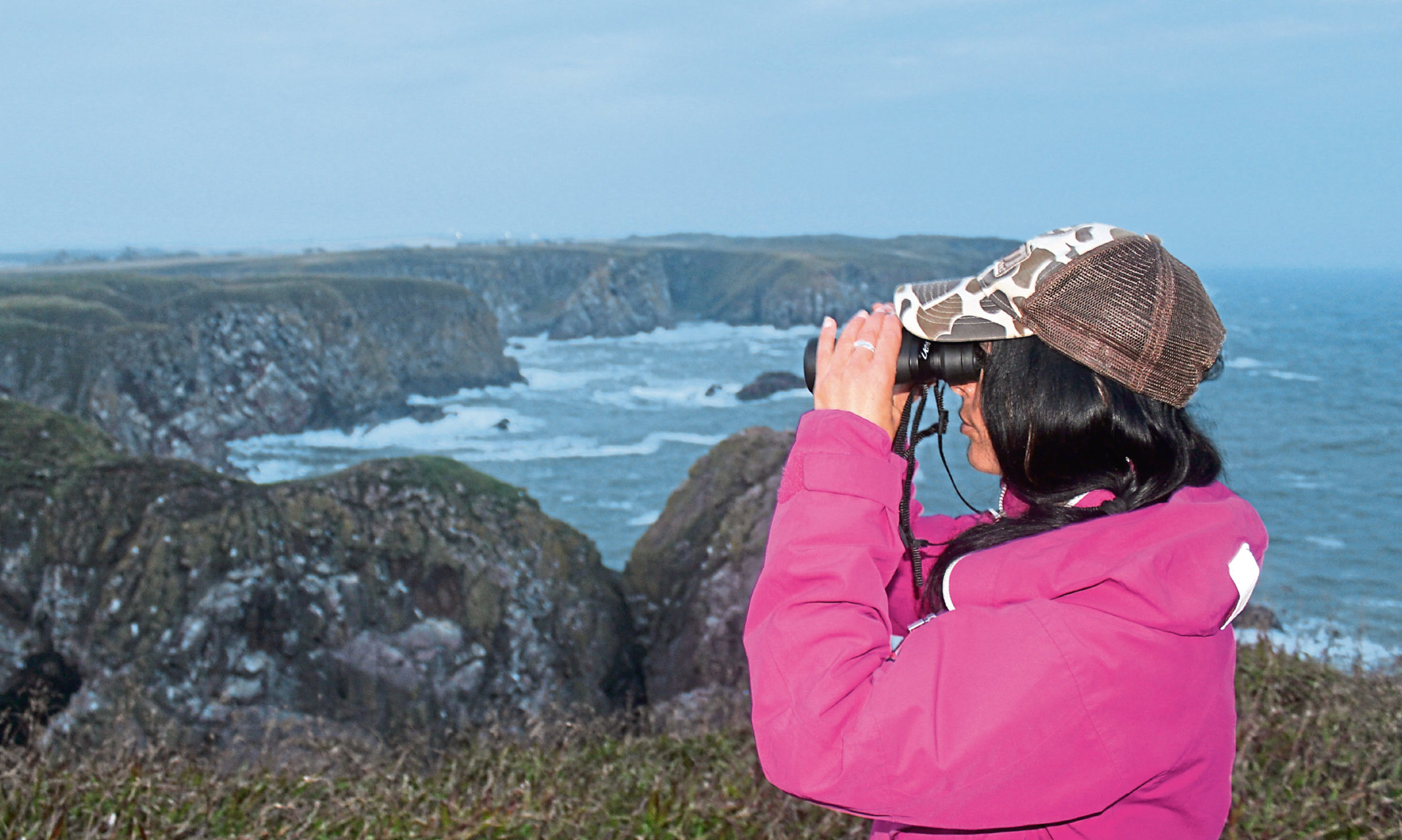 Gayle looks for puffins at the Bullers of Buchan.