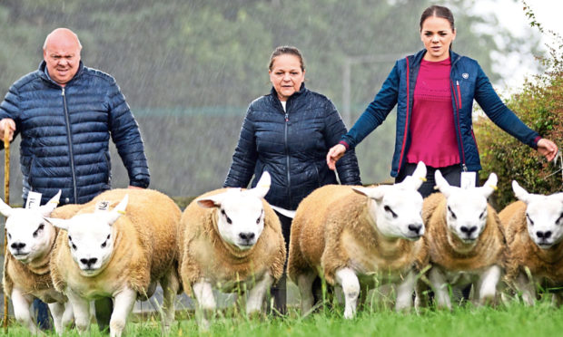 The price paid for the Boden family's best lamb set social media alight.