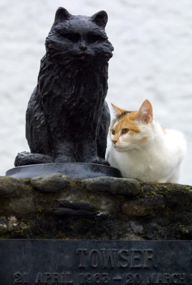 Amber keeps guard over Towser's statue.