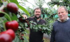 Euan McIntyre and his son Matt at Wester Essendy farm, Blairgowrie.