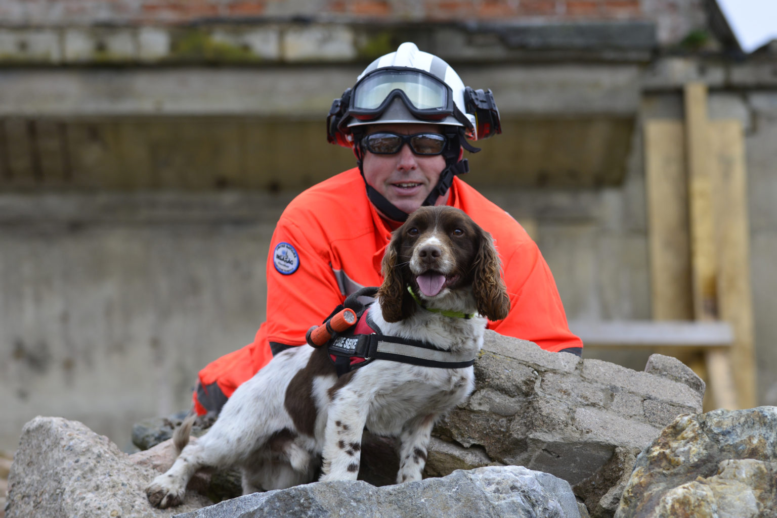 Fire service sniffer dog Diesel retires after eight years