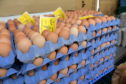 Egg prices are down by as much as 10% in major egg-producing member states
