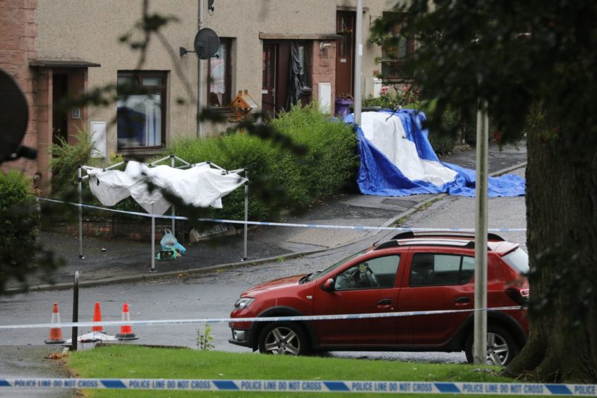 Tarpaulin over the garden hedge where the man is believed to have been found.