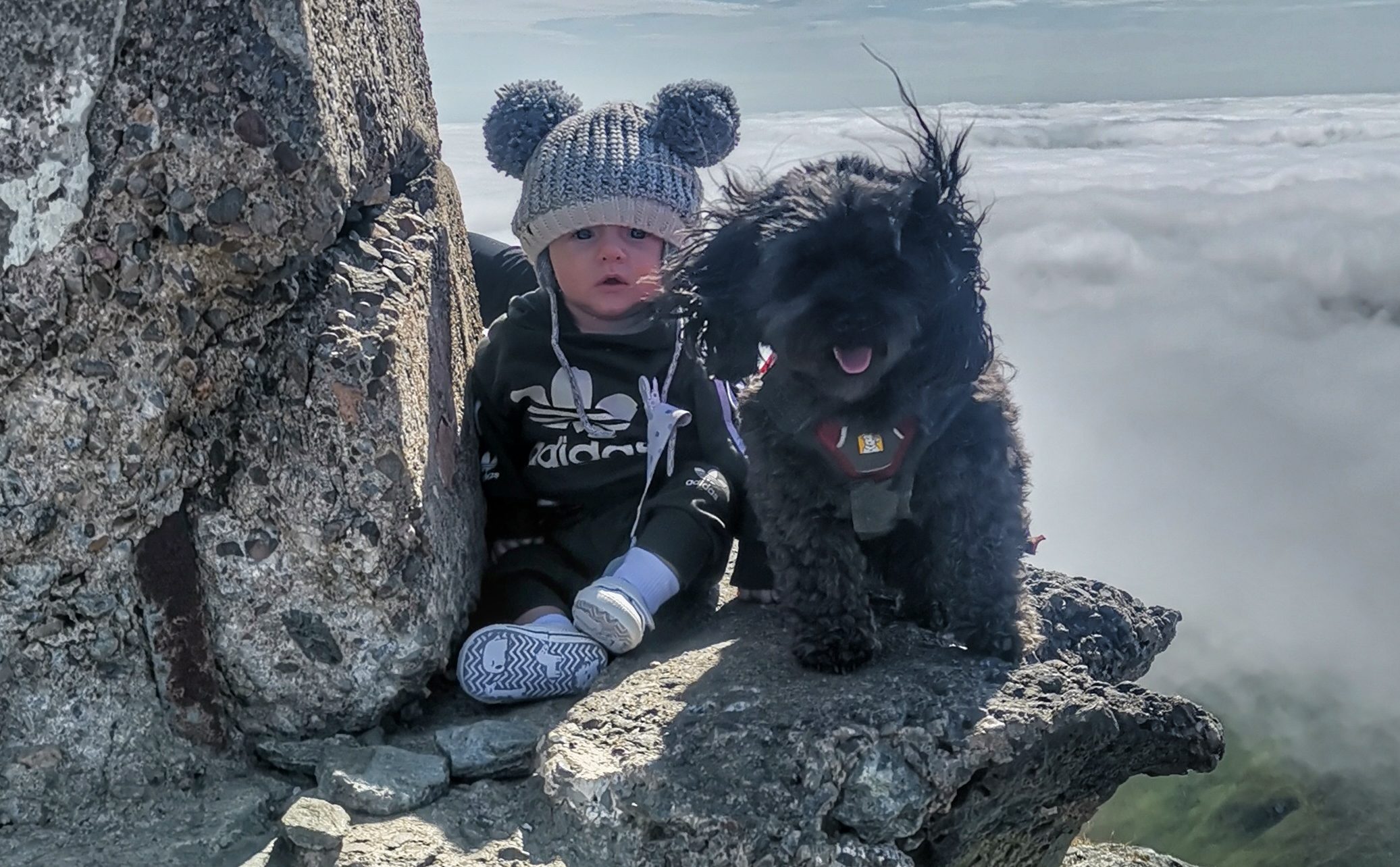 Innis at the summit of  Ben Lawers with pet dog Millie.