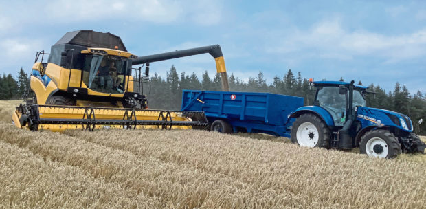 The harvest is in full swing north and south of the border