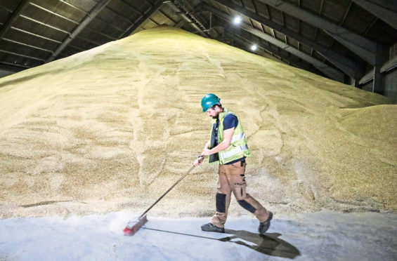 Grain stores are full to bursting with this years harvest and grain left over from 2019.