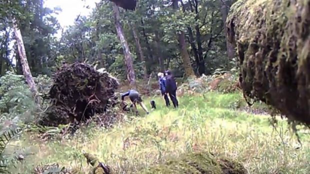 CCTV of alleged interreference of predator traps in Perthshire