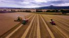 Organic barley from Falkland Estate.