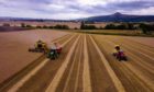 Organic barley from Falkland Estate.